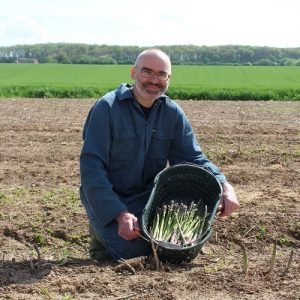 asparagus-in bucket
