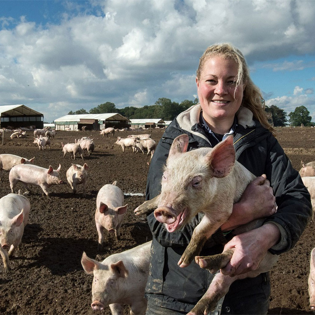 Annas Happy Trotters Fodder Suppliers