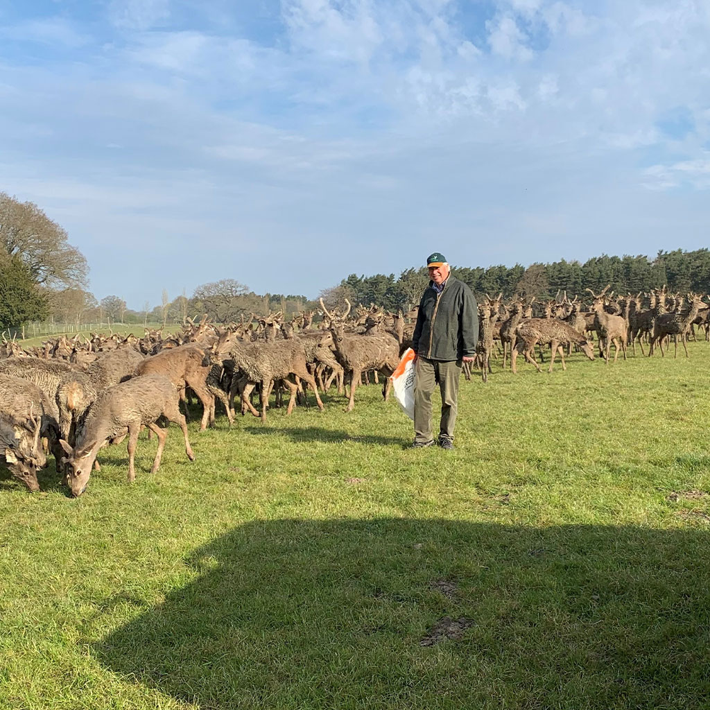 Holme Farmed Venison Fodder Suppliers