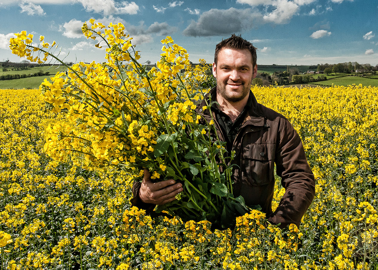 Rapeseed oil supplier for Fodder farm shop