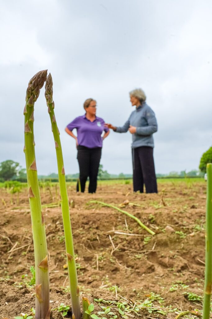 Visit to Spilmans Asparagus, supplier to Fodder Farm Shop