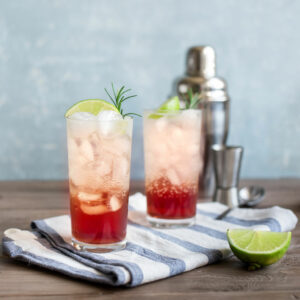 Raspberry Gin Fizz & Elderflower Cordial Recipe from Fodder