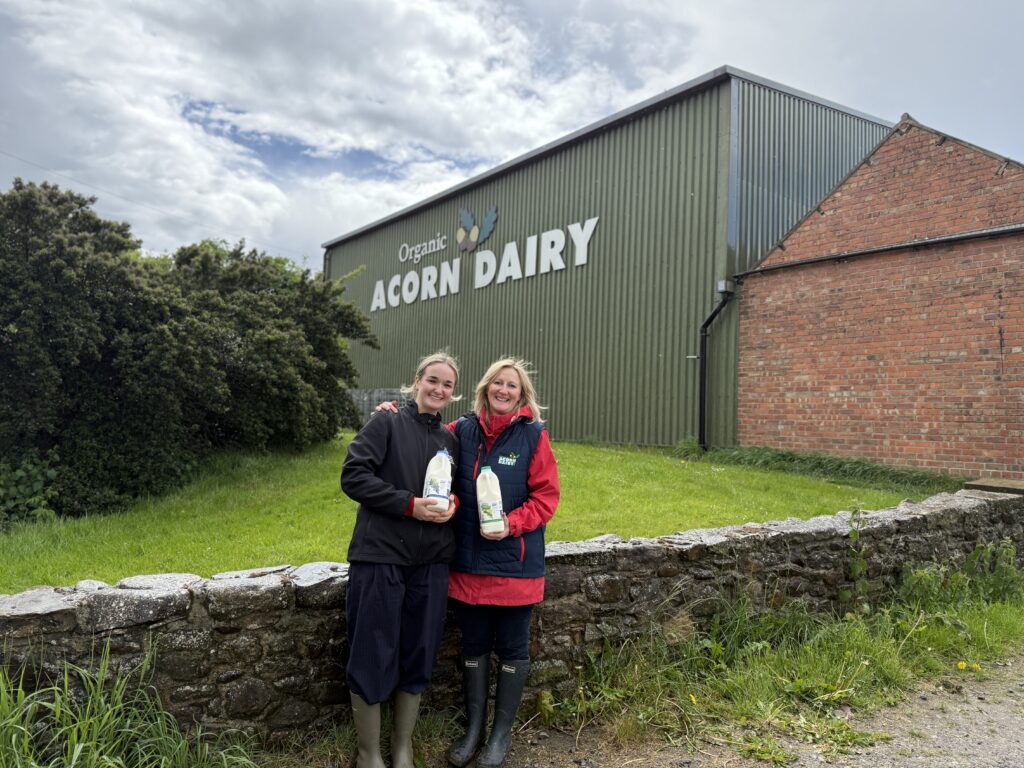 acorn-dairy